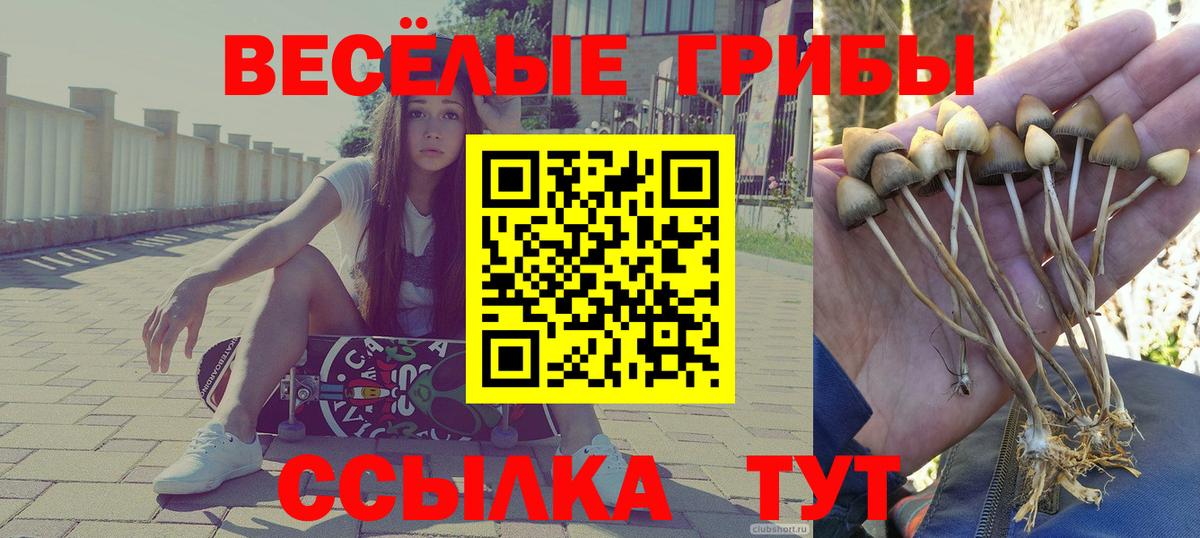 Галлюциногенные грибы Psilocybine cubensis  Вход с VPN  Самара  Галлюциногенные грибы MAGIC MUSHROOMS 