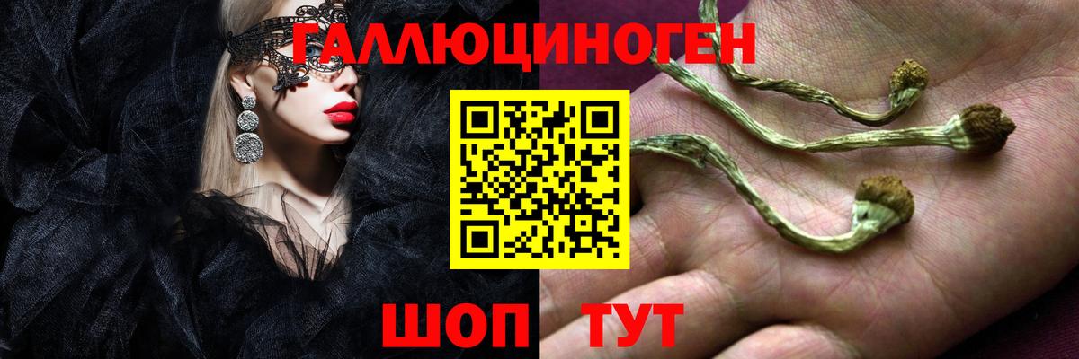 Псилоцибиновые грибы Psilocybine cubensis Самара